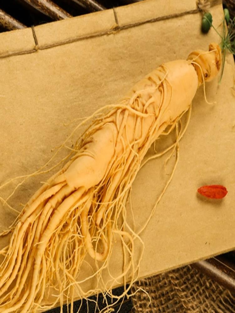 长白山鲜人参 12支 泡酒专用 东北特产  晒干人叁白参