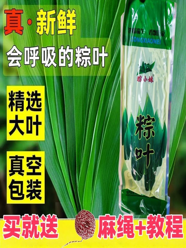 粽子叶 4袋（200片）送100米粽绳 家用真空袋装粽叶子箬竹叶