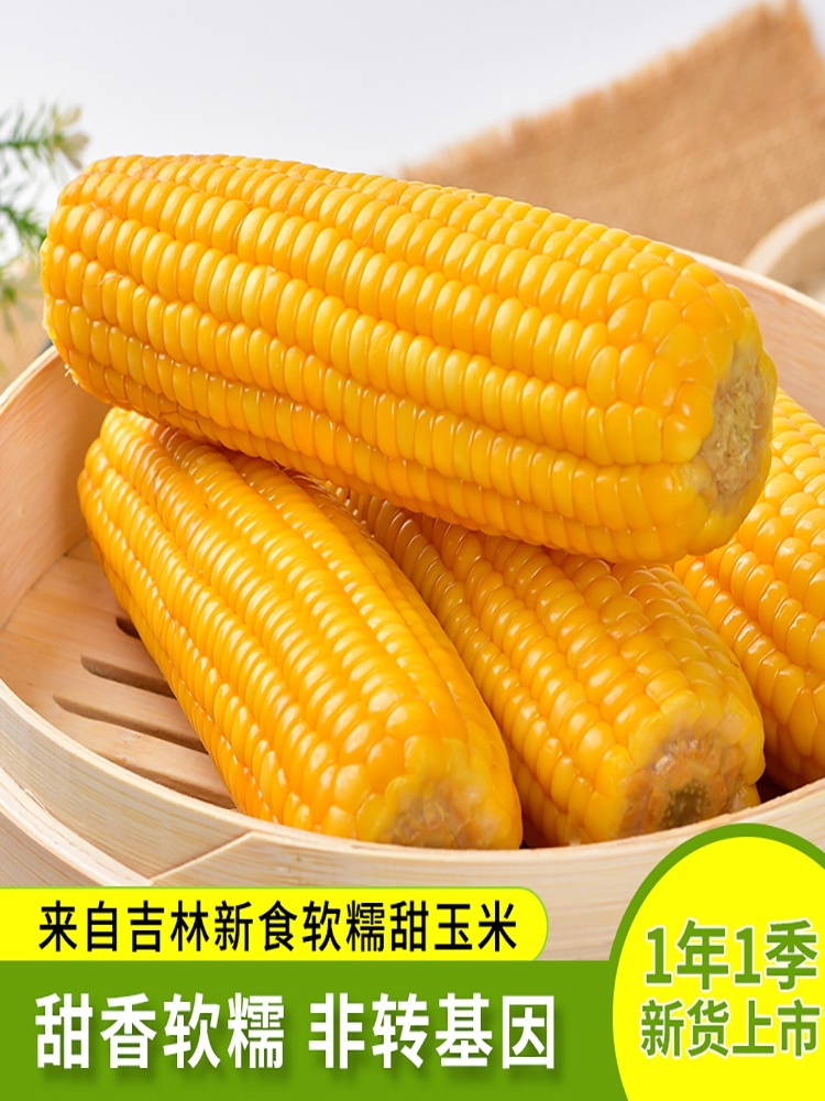 豆农亿品东北有机黄糯玉米一箱装（200g*8根）