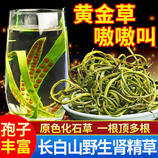 共同