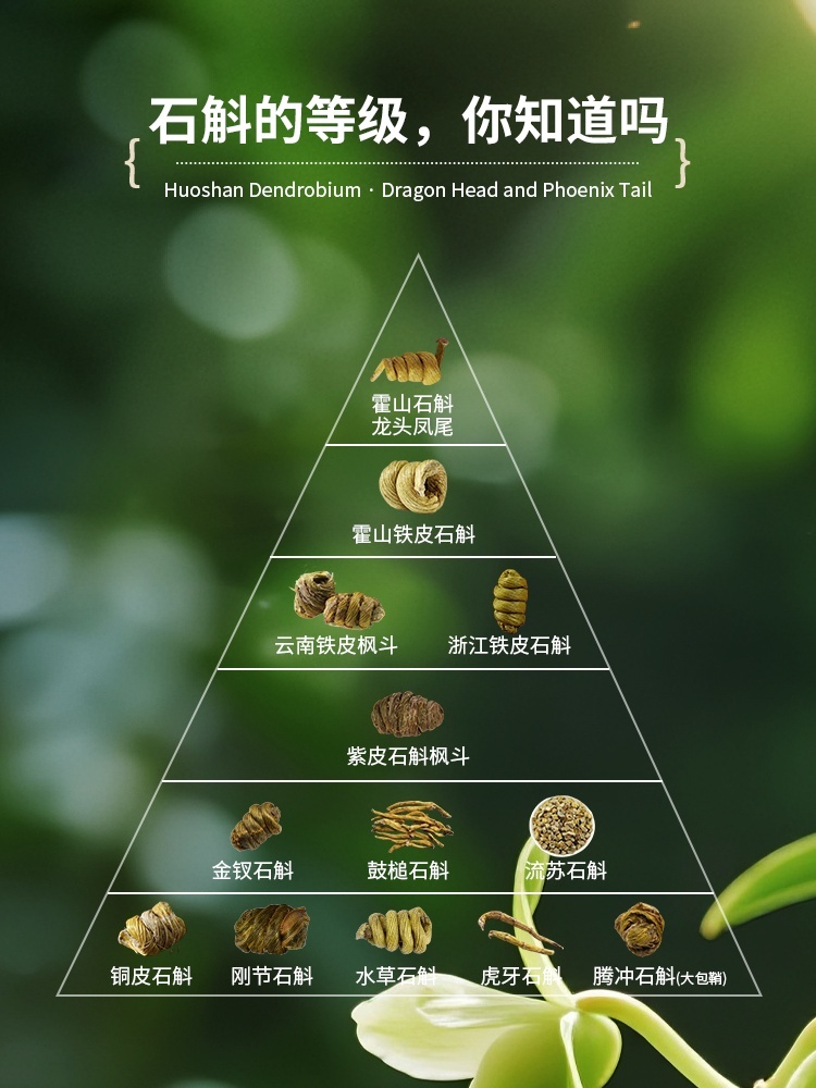 正宗霍山铁皮石斛枫斗-原产地直发-九大仙草-大观博研