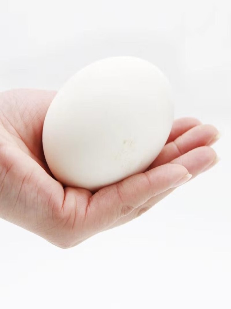 【家乡特产】鹅蛋 共12枚 孕妇宝宝放心吃 新鲜散养土鹅蛋