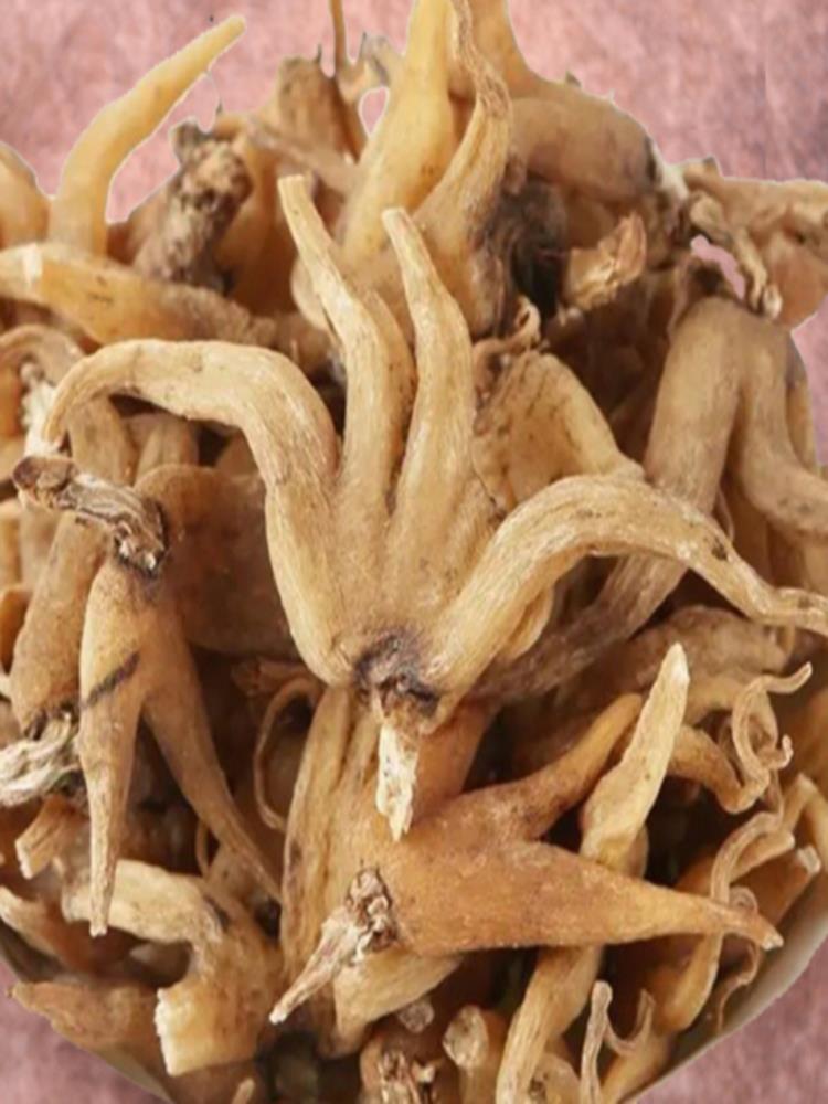 佛手参 50g 手掌参 甄选新货藏手参 中药材 干货