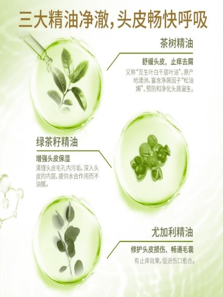 舒蕾(KY) 绿茶籽控油去屑洗发水500ml+蚕丝保湿顺滑护发素500ml