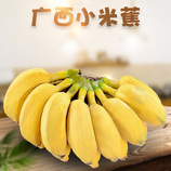 共同