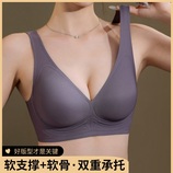 罗兰紫