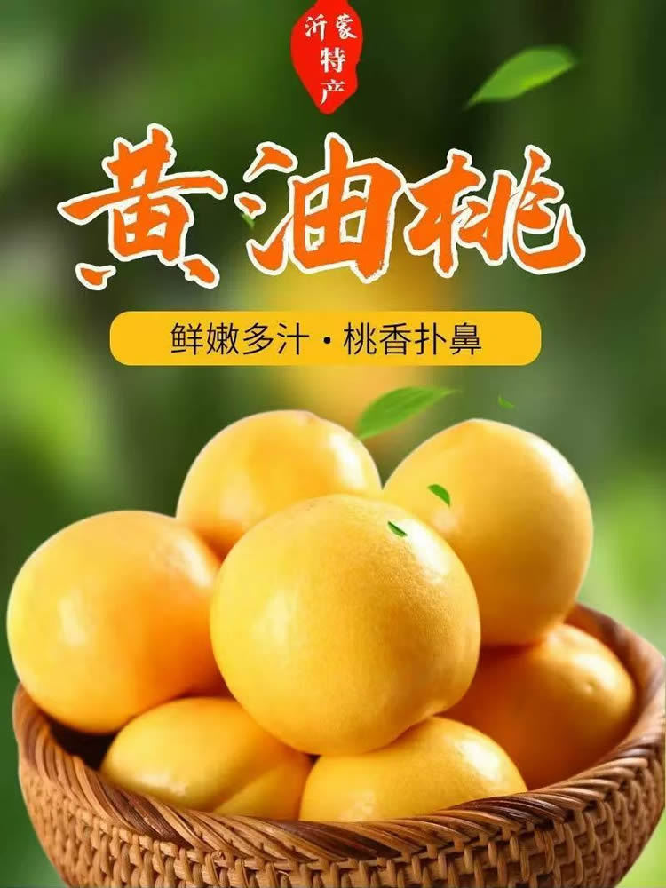 26年新鲜山东蒙阴黄金油桃精品大果净重4.5-5斤（15-18枚）·水果