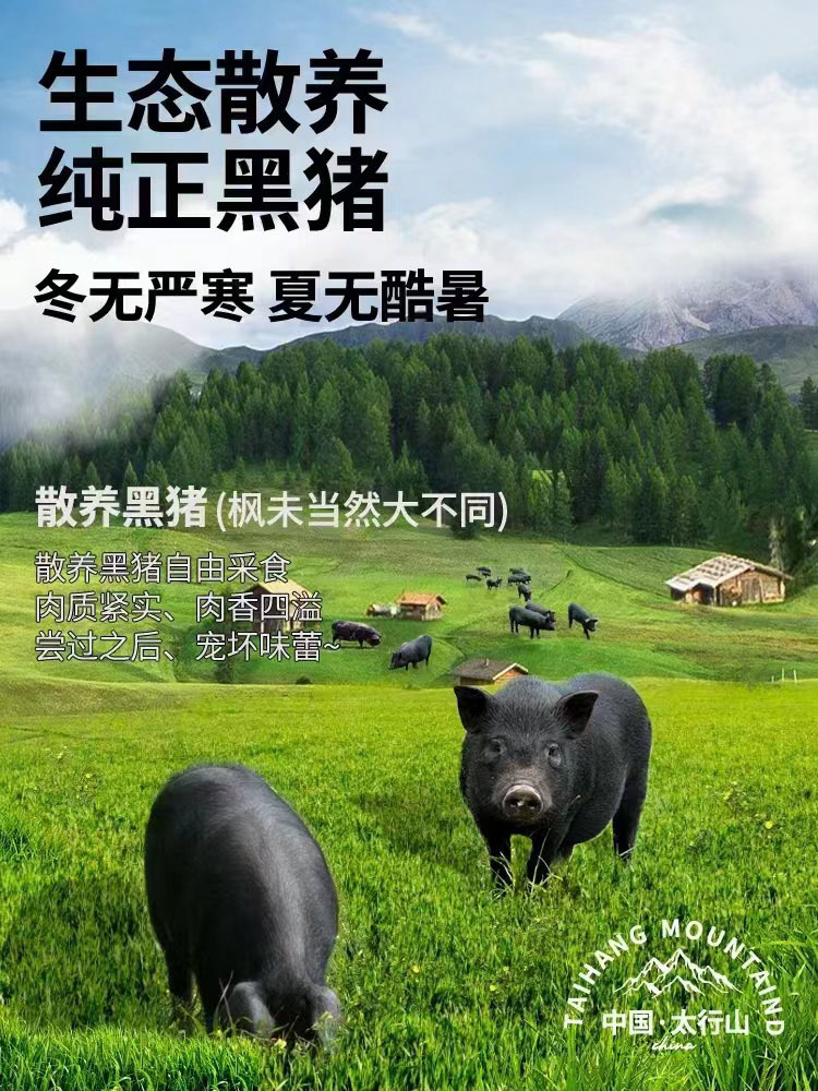 【满满鲜肉~口口爆汁】艾熙雅黑猪肉肠·膳食口味400g*5盒（浅肥不腻 易咀嚼）