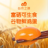 共同
