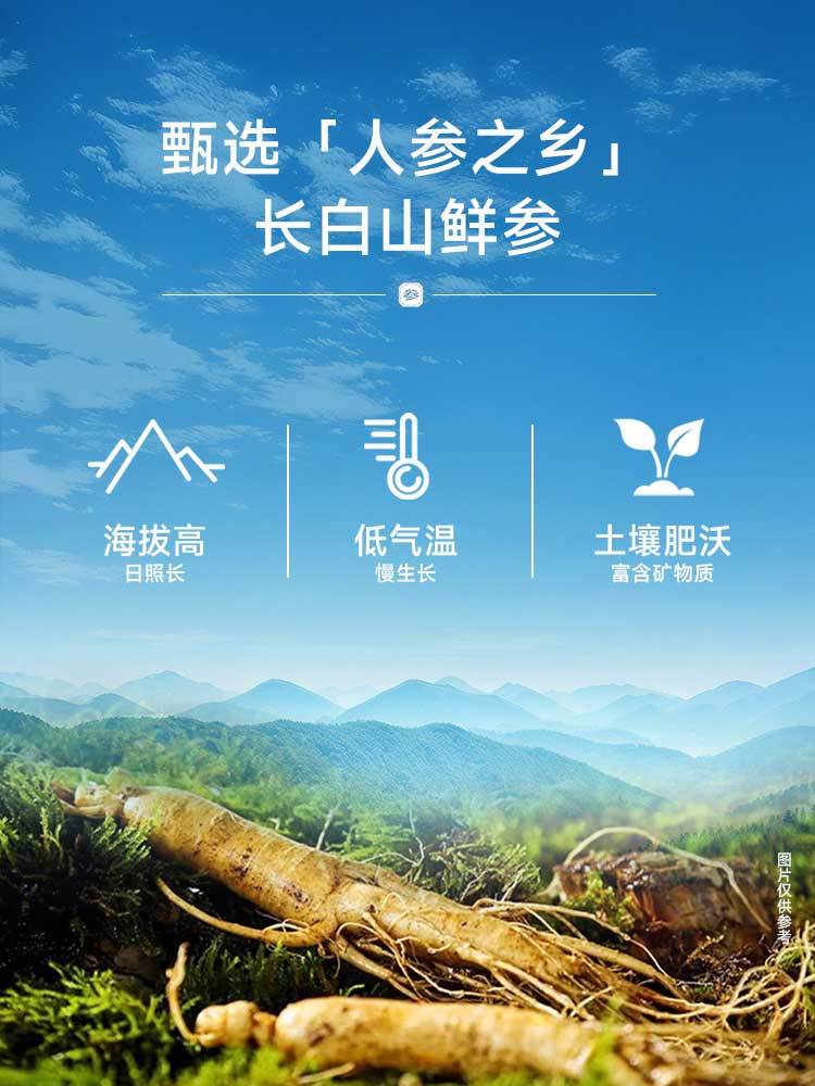 第四膳秘制人参2袋·黄色