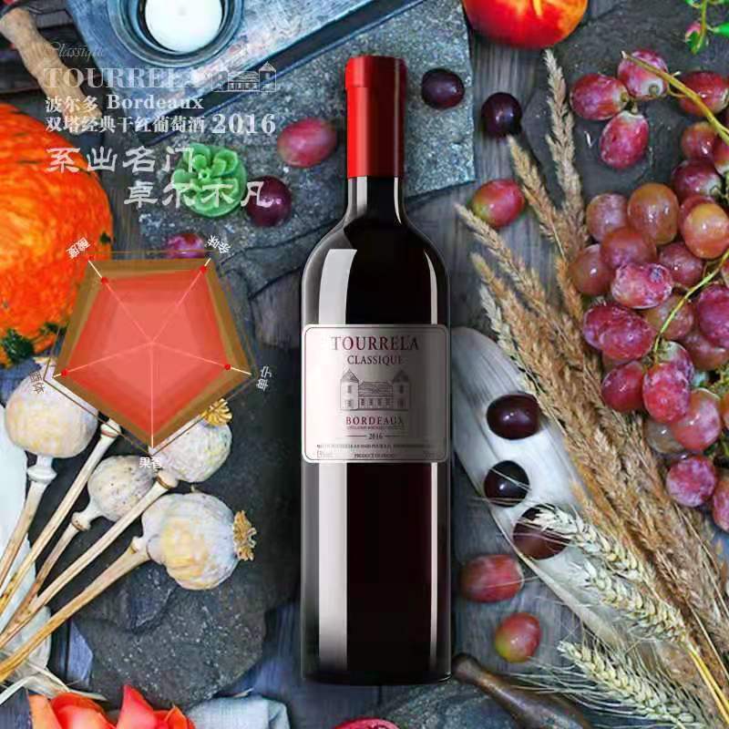 法国原瓶进口 双塔骑士2016年份干红葡萄酒 波尔多AOC级 2瓶
