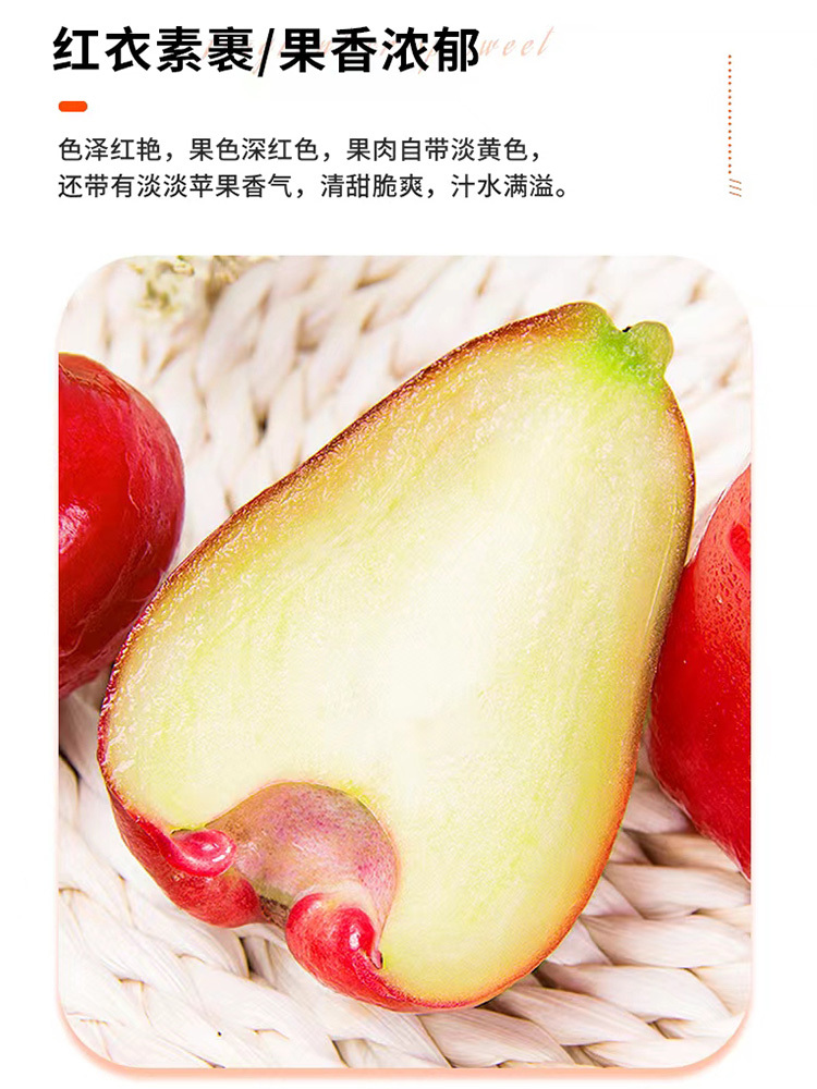 【应季新鲜水果】海南精品黑金刚莲雾分享装3斤（20个左右）·无