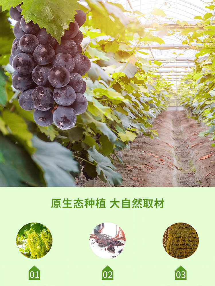 四色葡萄干500g*2罐干果脯蜜饯