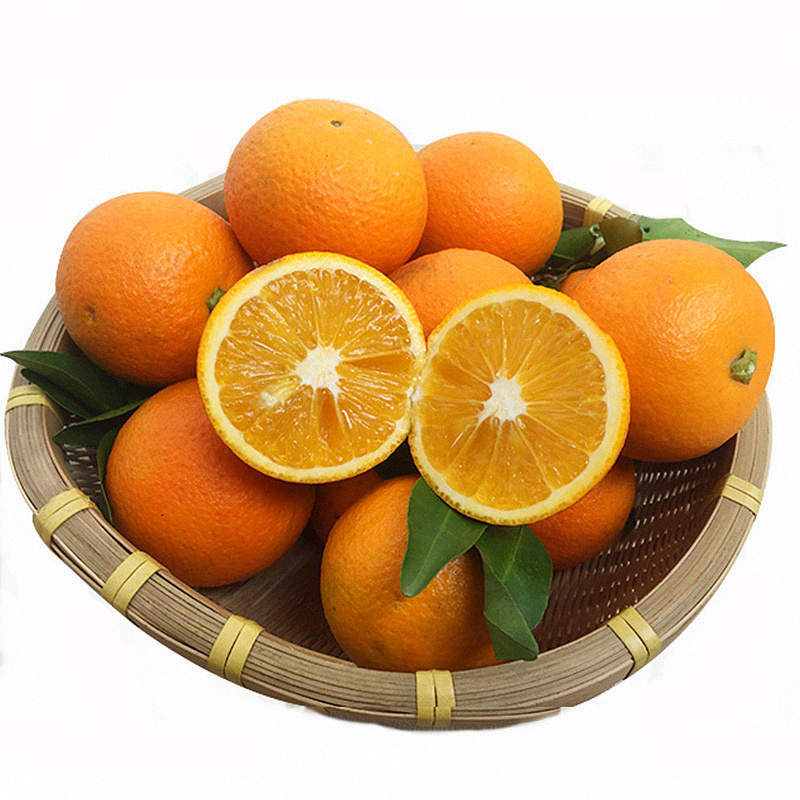 广西纯甜蜜香橙蜂蜜橙净重8斤大果