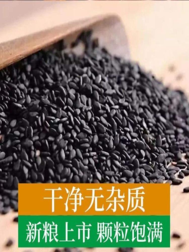 生黑芝麻 1000g 五谷杂粮 烘焙辅料 粗粮 免洗即食