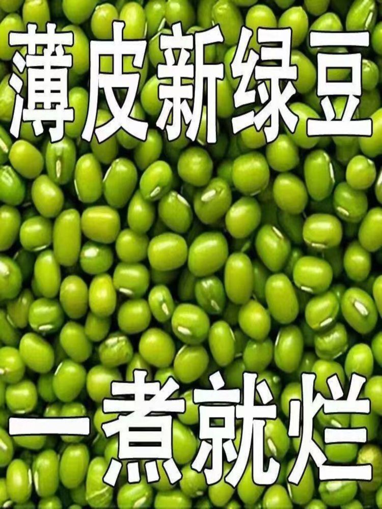 东北新绿豆 500g*3袋 解暑绿豆粥绿豆芽新绿豆五谷杂粮