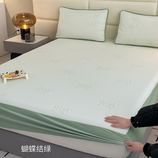 蝴蝶结绿