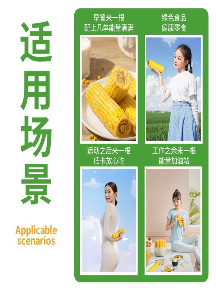 【本店推荐】黄糯玉米 15穗/箱 真空玉米 烧烤速食食材