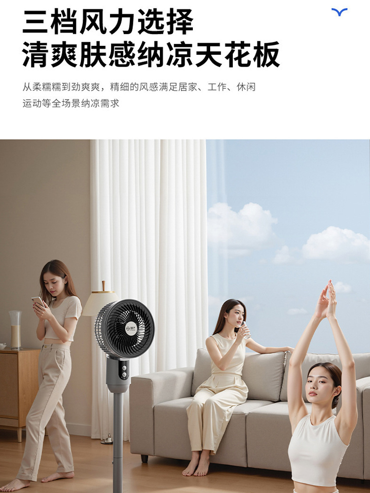 扬子台地两用空气循环扇落地电风扇按键开关