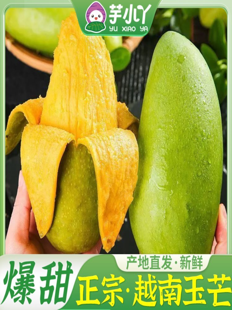正宗越南玉芒 带箱9斤 单果250克起 应季 果薄皮肉厚