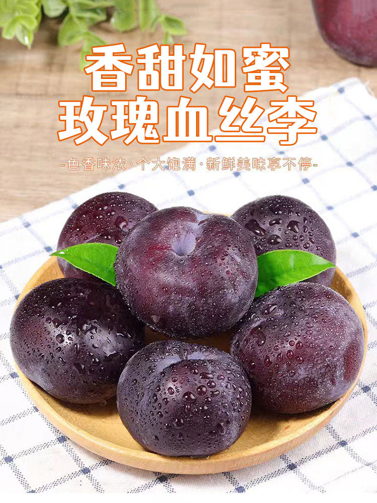 血丝玫瑰李净重5斤特大果 【单果70-100g】