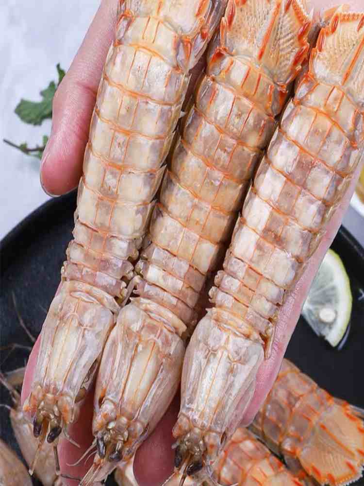 中公皮皮虾 4斤 9-11cm/只 熟冻虾爬子 海鲜海虾 新鲜蒸熟