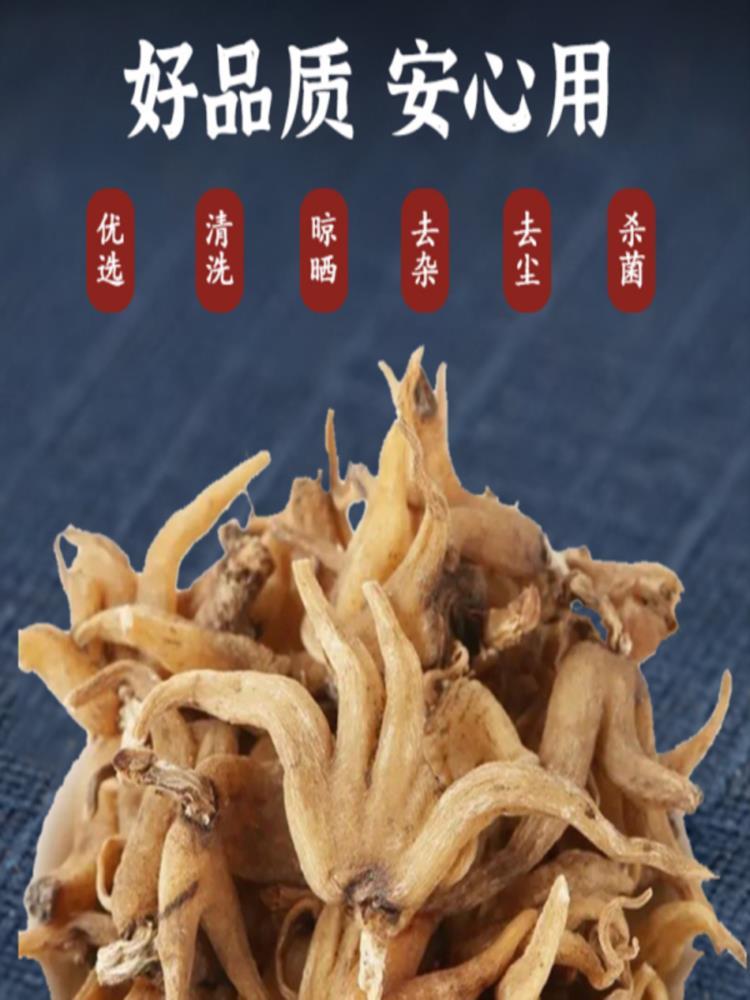 佛手参 50g 手掌参 甄选新货藏手参 中药材 干货