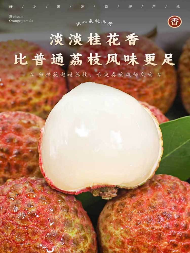 海南-新鲜妃子笑荔枝4.5-5斤装(顺丰快递）