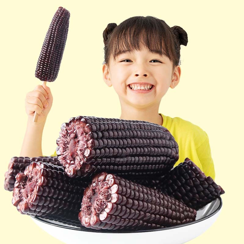 燕之坊黑糯玉米2.2kg（10根）箱装