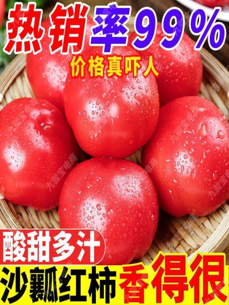 【陕西泾阳】普罗旺斯西红柿番茄 净重4.5斤（12-16枚）中果