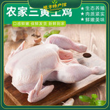 共同
