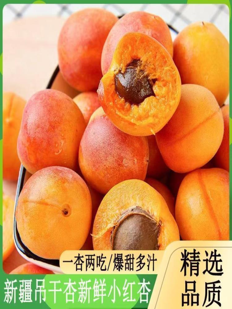 新疆阿克苏小红杏 2斤 18-30g（约50枚左右）