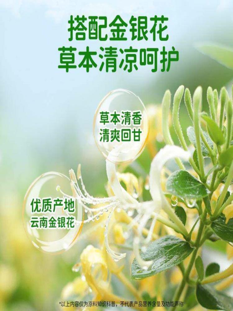金银花小吊梨 138mL*12瓶 清凉雪梨好喝新鲜银耳植物鲜美饮料瓶