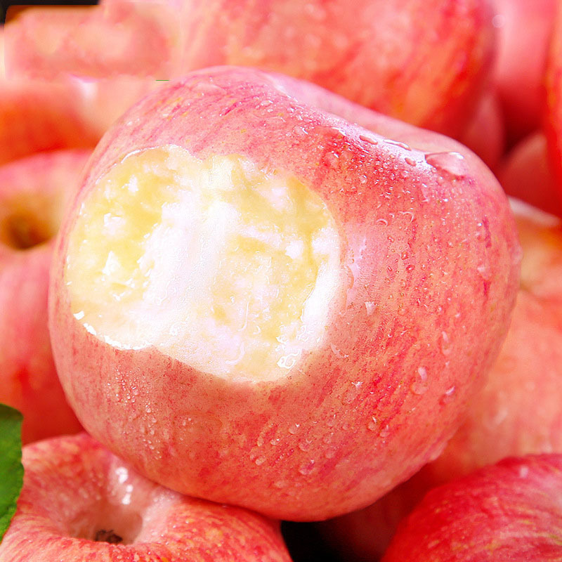 山东烟台红富士苹果5斤中果约12个·个头75-80mm