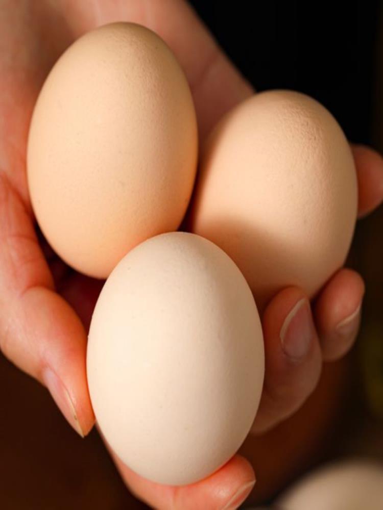 散养土鸡蛋 40枚 新鲜农村 笨鸡蛋 柴鸡蛋 虫草蛋