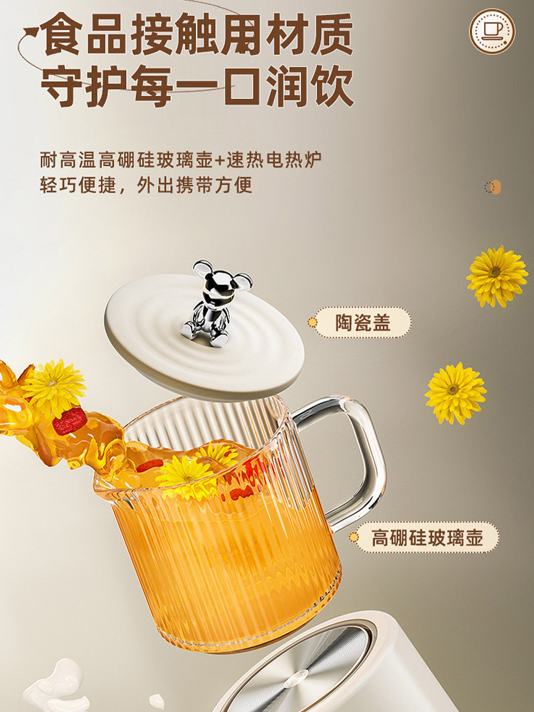 多功能养生迷你小型养生杯电炖杯烧水杯600ml