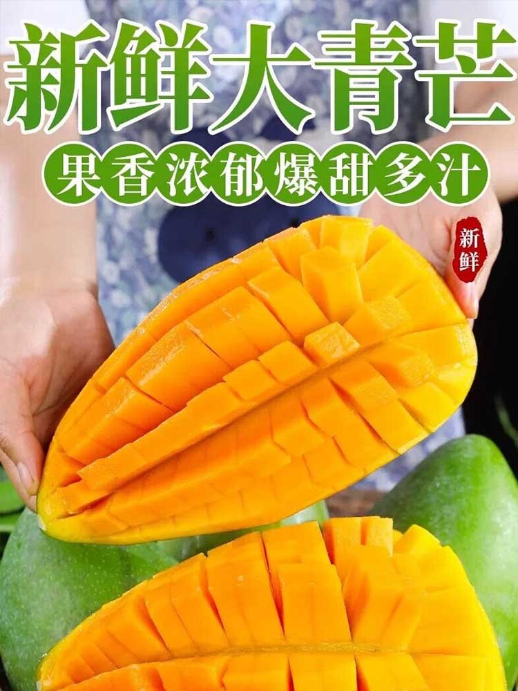 大青芒带箱9斤【单果500g+】果香浓郁 核薄皮薄肉厚 （到货需催熟）