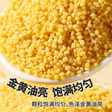 共同