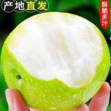 共同