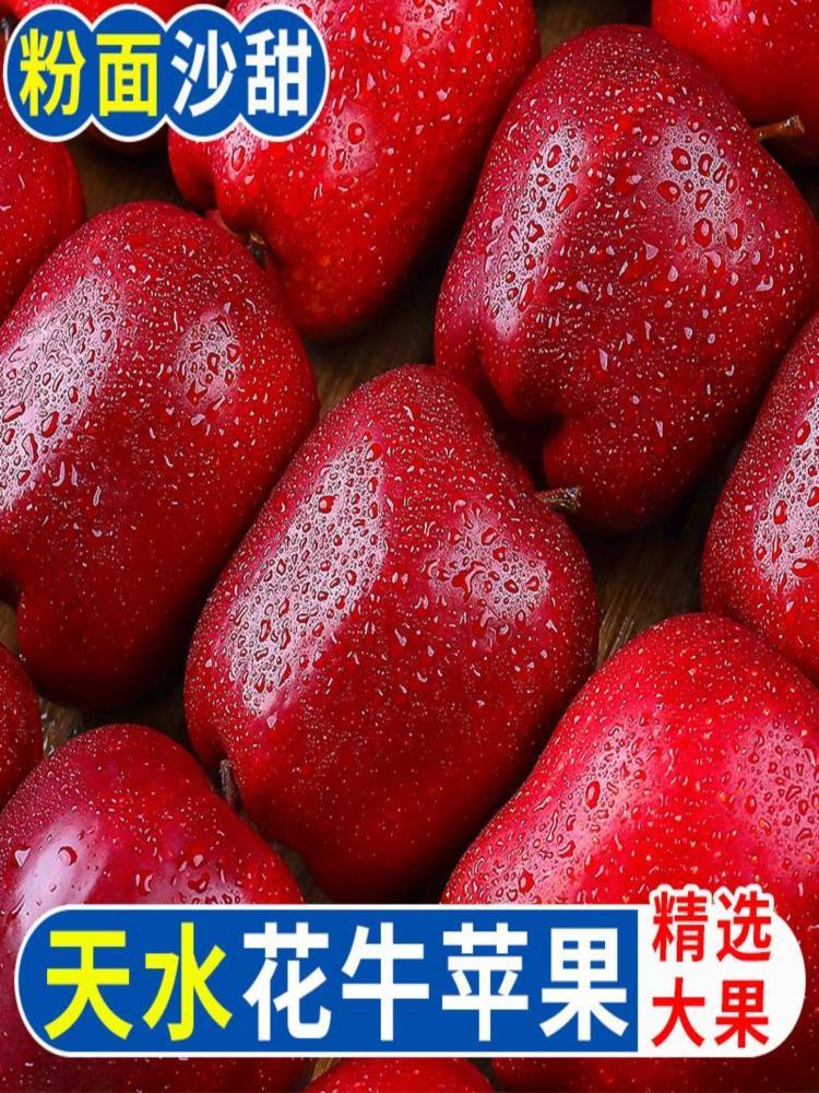 【果园精选】花牛苹果 净重8.5斤装 果径70-80mm  优选甘肃核心产区