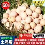 共同