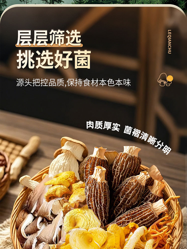 乐千厨 高原菌汤包100g*3包云南特产菌菇干货