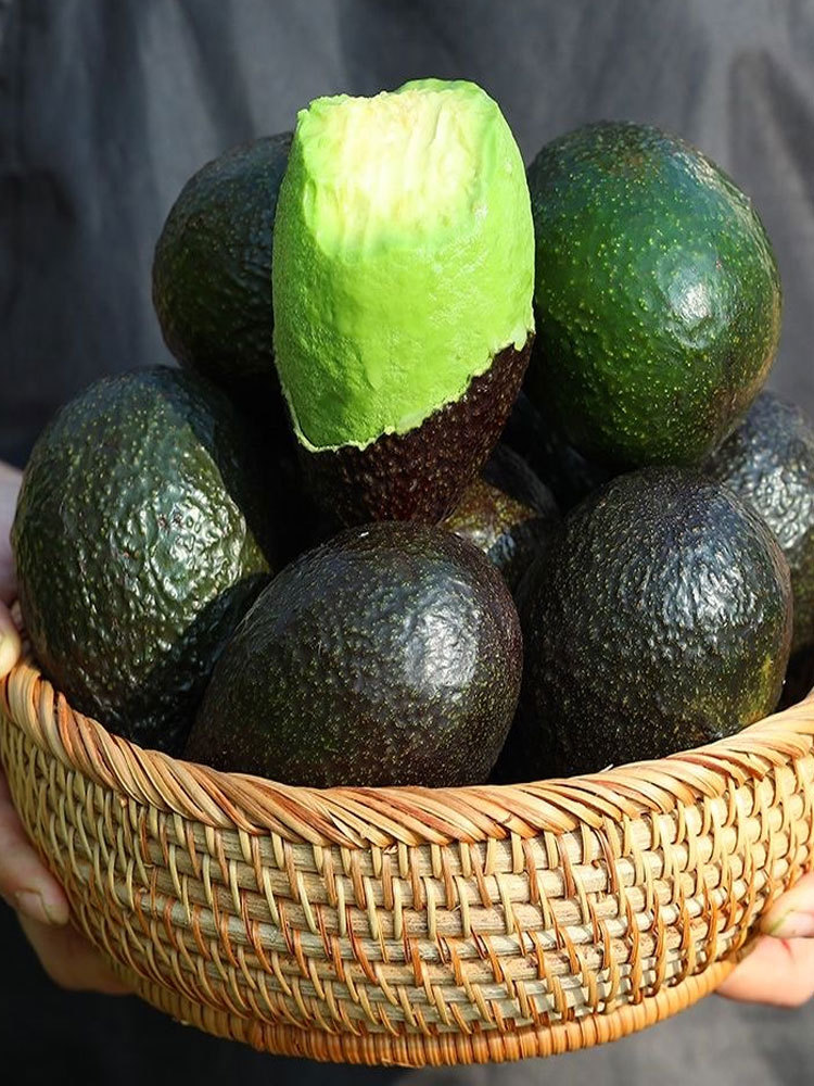 特大牛油果6个（180-200g1个）（顺丰包邮）