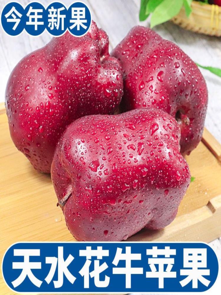 【果园精选】花牛苹果 净重8.5斤装 果径70-80mm  优选甘肃核心产区