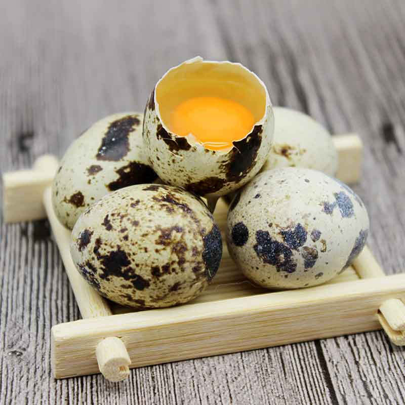 横行记原生态新鲜鹌鹑蛋生蛋 140枚装