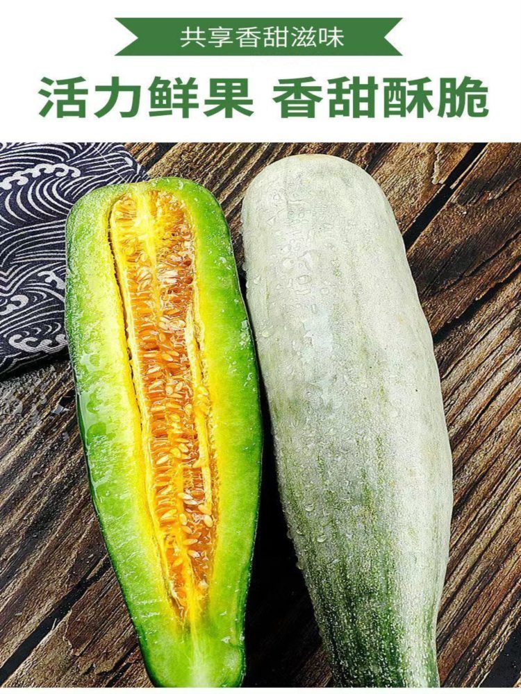 羊角蜜甜瓜 3斤装 净重2.5-2.7斤 头茬原棚高品质(山东菏泽)