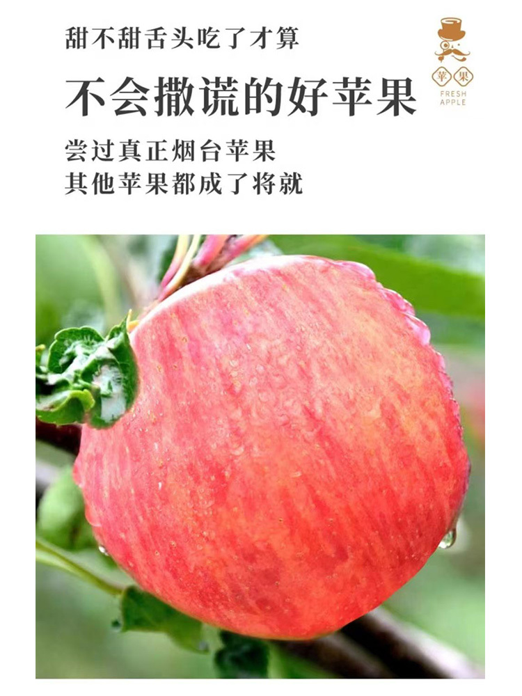 山东烟台红富士 中果【75mm+】·净重5斤