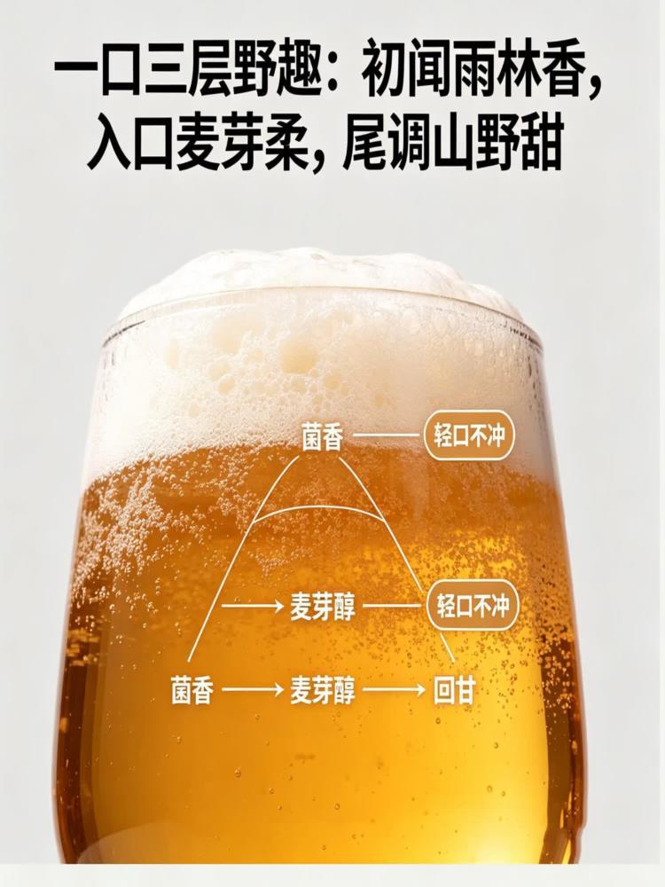 【云南特产】见手青精酿原浆 1L*3罐 野生牛肝菌 精酿