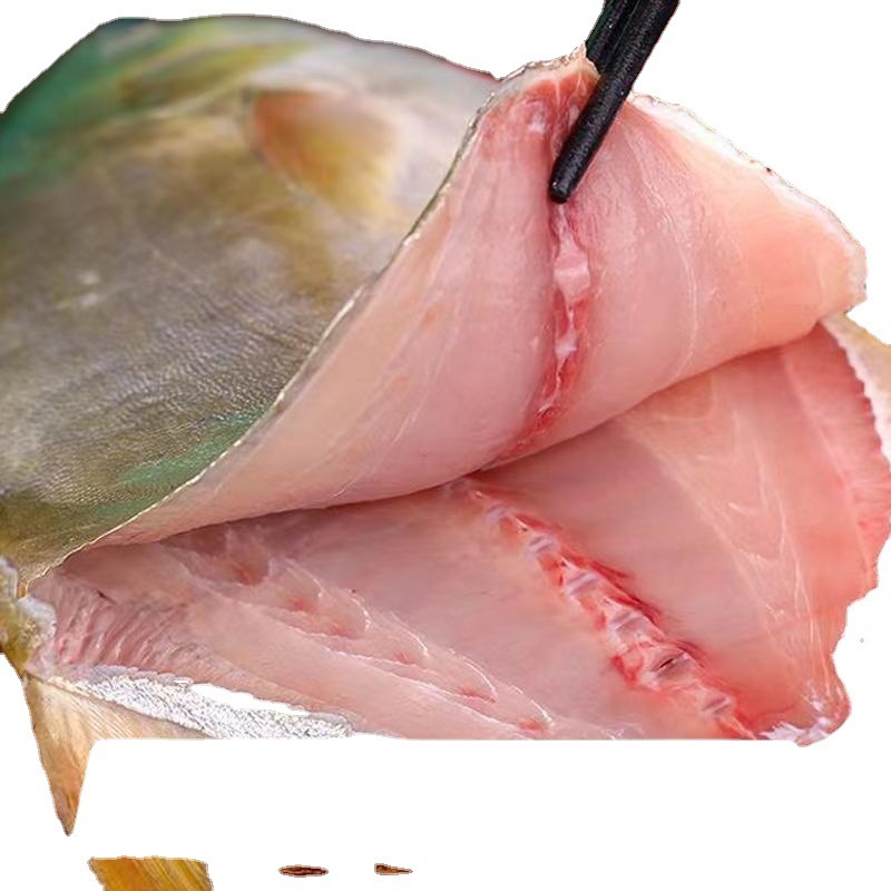 6条新鲜鲜活冷冻野生特大金鲳鱼（一条400-500g）