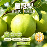 共同